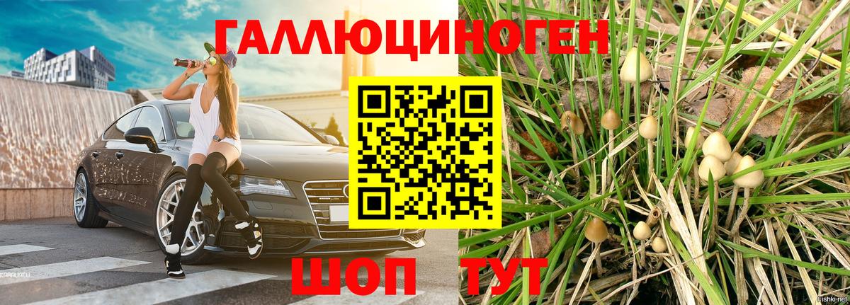 Галлюциногенные грибы мицелий Солнечногорск
