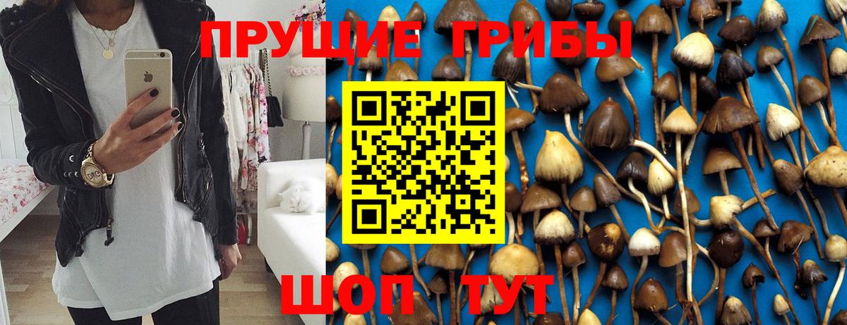 Солнечногорск  Псилоцибиновые грибы мицелий  Вход с VPN 